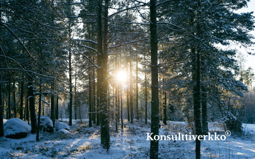Lean-kehitysohjelma kiertotaloustoimijan kasvun tukena