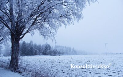 Johtamisjärjestelmän uudistus vauhdittamaan kasvua ja vientimarkkinoita