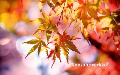 Strateginen neuvonanto: Second Opinion mittavalle teollisuusinvestoinnille