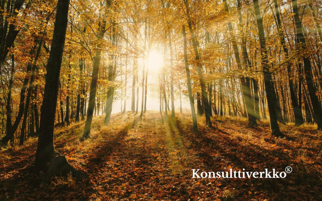 Kansainväliset due diligence -projektit vaativat fokusta – ei pelkkää dataa
