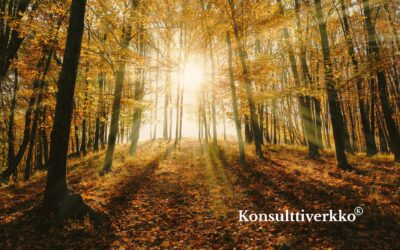 Kansainväliset due diligence -projektit vaativat fokusta – ei pelkkää dataa