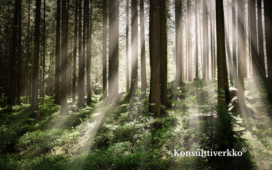 Merkittävä strateginen kumppanuus käynnistymässä