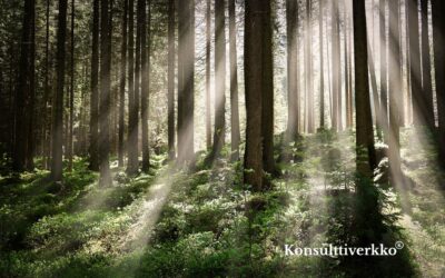 Merkittävä strateginen kumppanuus käynnistymässä