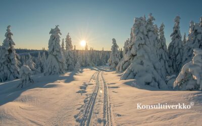 Yrityskauppa on strateginen siirto – Miksi fokus ratkaisee onnistumisen?