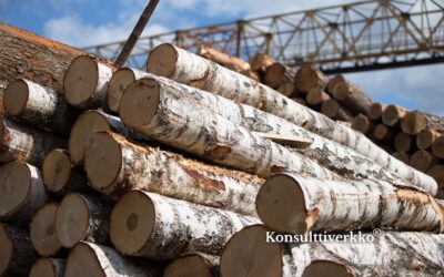 Strategista kasvua ja teollista tehokkuutta