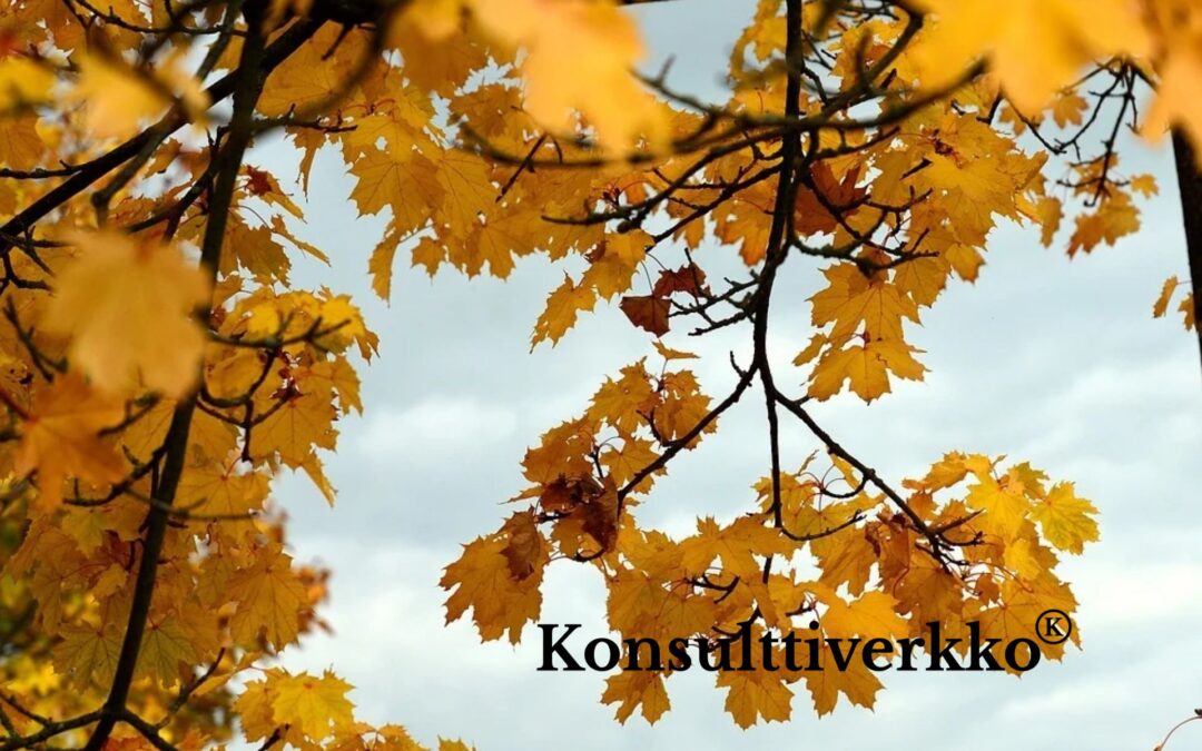 Konsulttiverkko kumppaniksi infrarakentajan strategiatyöhön